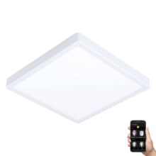 Eglo - LED Dimmelhető fürdőszobai lámpa LED/19,5W/230V 2700-6500K IP44 fehér