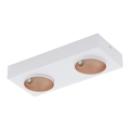 Eglo - LED Dimmelhető mennyezeti lámpa 2xLED/3,3W/230V