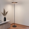 Eglo - LED fényerőszabályozható állólámpa mozgásérzékelővel 2xLED/19W/230V 2200-6500K barna