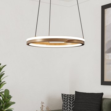 Eglo - LED fényerőszabályozható kábeles függeszték 2xLED/20W/230V 2700–6500K átmérő 48 cm bronz színű + távirányító