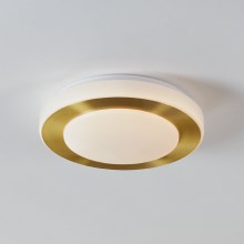 Eglo - LED Fürdőszobai mennyezeti lámpa LED/10,8W/230V IP44