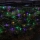 Eglo - LED Kültéri karácsonyi lán 180xLED 3m IP44 többszínű
