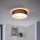 Eglo - LED mennyezeti lámpa 1xLED/12W/230V