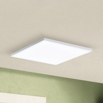 Eglo - LED Mennyezeti lámpa LED/10,8W/230V