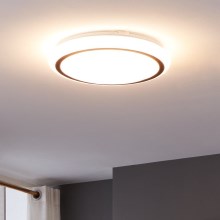 Eglo - LED Mennyezeti lámpa LED/14,6W/230V