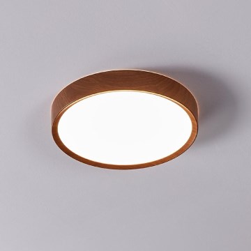 Eglo - LED Mennyezeti lámpa LED/14,6W/230V