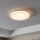 Eglo - LED Mennyezeti lámpa LED/14,6W/230V