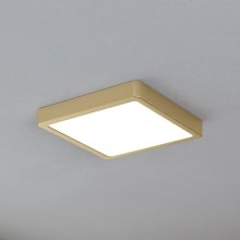 Eglo - LED Mennyezeti lámpa LED/17W/230V