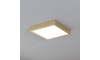 Eglo - LED Mennyezeti lámpa LED/17W/230V