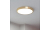 Eglo - LED Mennyezeti lámpa LED/20,5W/230V á. 28,5 cm