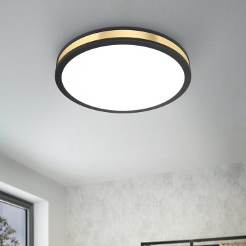 Eglo - LED Mennyezeti lámpa LED/24W/230V