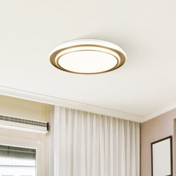 Eglo - LED mennyezeti lámpa LED/36W/230V 2700/4000/6500K Ø49 cm arany