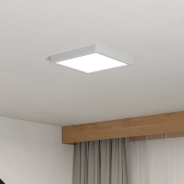 Eglo - LED mennyezeti lámpatest LED/10,5W/230V 2700/4000/6500K 22x22 cm fehér