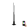 Eglo - LED RGBW Dimmelhető állólámpa 2xLED/16W/230V fekete ZigBee