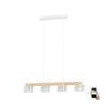 Eglo - LED RGBW Dimmelhető csillár zsinóron 4xLED/3,7W/230V 2700-6500K