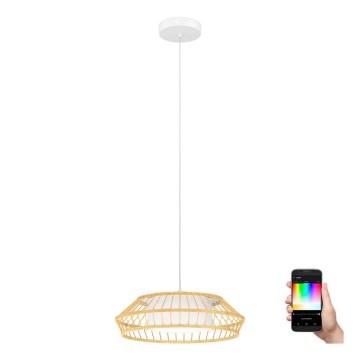 Eglo - LED RGBW Dimmelhető csillár zsinóron LED/22W/230V 2700-6500K