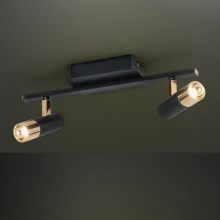 Eglo - LED Spotlámpa 2xLED/5W/230V/12V