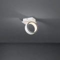 Eglo - LED Spotlámpa LED/4,6W/230V 3000K