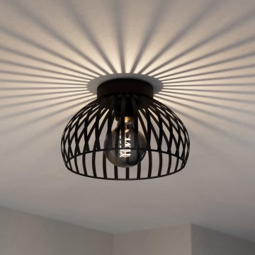 Eglo - Mennyezeti lámpa 1xE27/40W/230V átm. 28 cm
