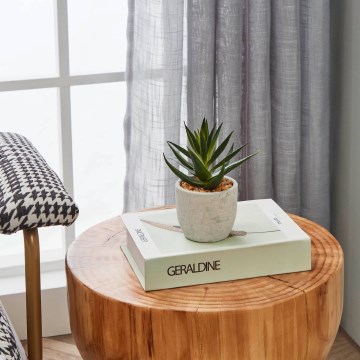 Eglo - Műnövény cserépben 15,5x10 cm szukkulens