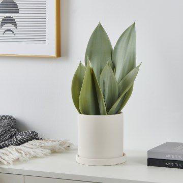 Eglo - Műnövény virágcserépben 41,5x28,5 cm