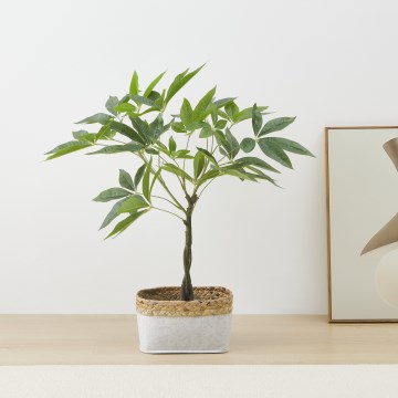 Eglo - Műnövény virágcserépben 61x40,6 cm