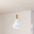 Eglo - Zsinóros függeszték 1xE27/60W/230V átm. 18 cm fehér