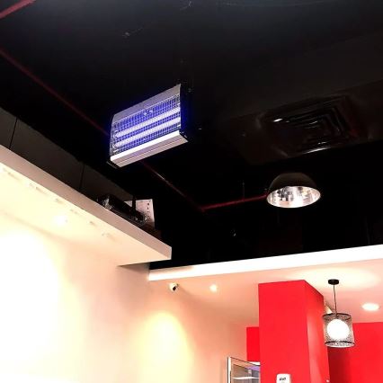 Elektromos rovarcsapda 2x10W/230V 80 m²