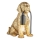 Endon 107364 - Asztali lámpa PUPPY 1xE14/7W/230V arany
