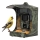 Evolveo - StrongVision BirdFeeder - okos madáretető kamerával és napelemmel