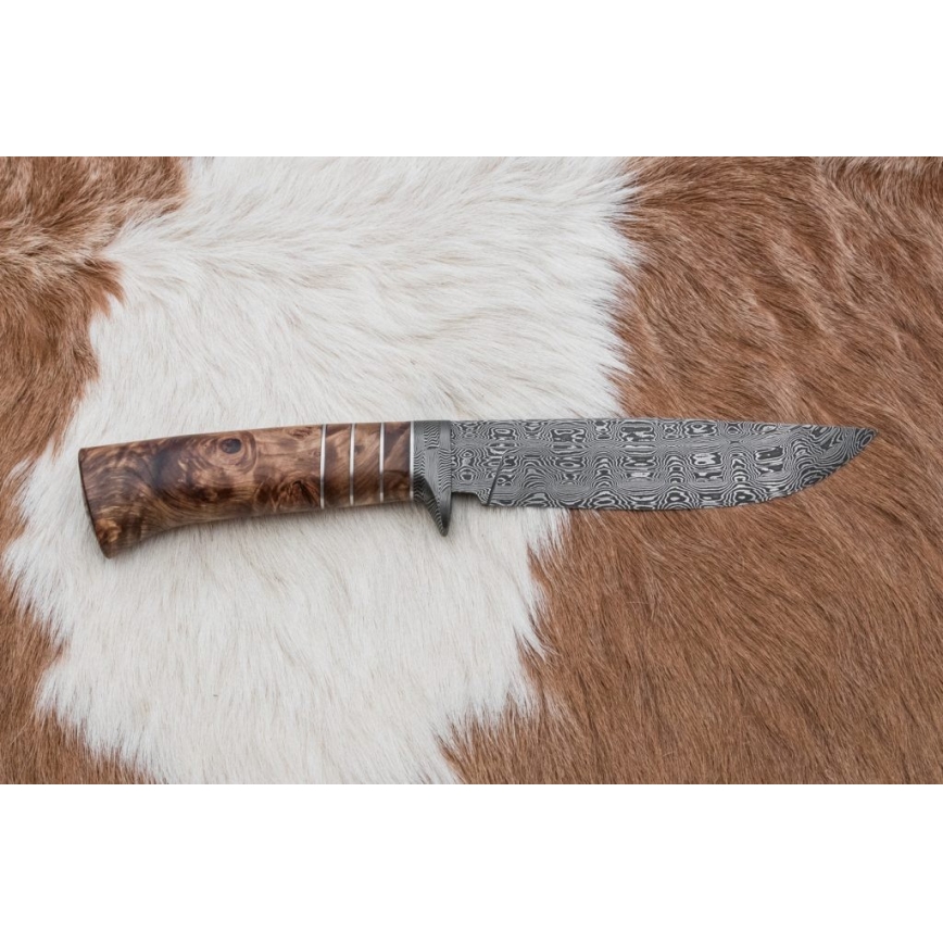 Exkluzív damaszkuszi kés 14,4 cm gesztenyefa/mamutfog