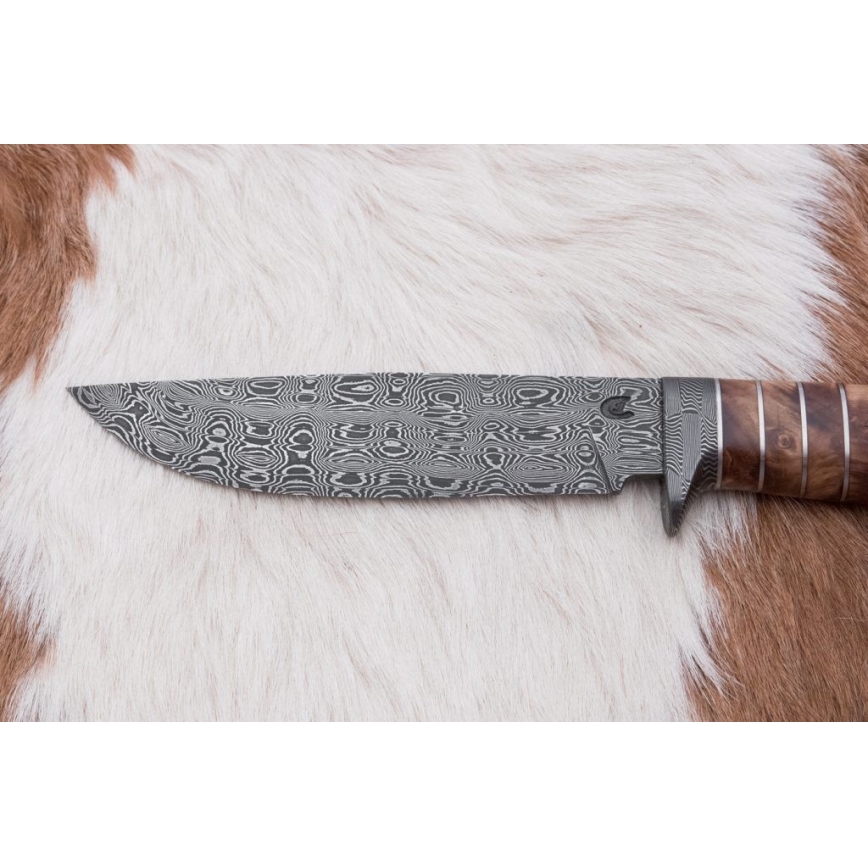 Exkluzív damaszkuszi kés 14,4 cm gesztenyefa/mamutfog