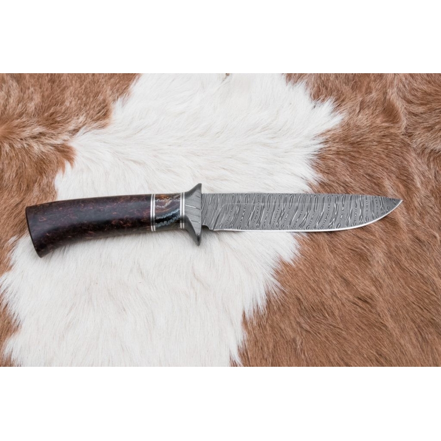 Exkluzív damaszkuszi kés 14,6 cm Nyírfa/mamutfog
