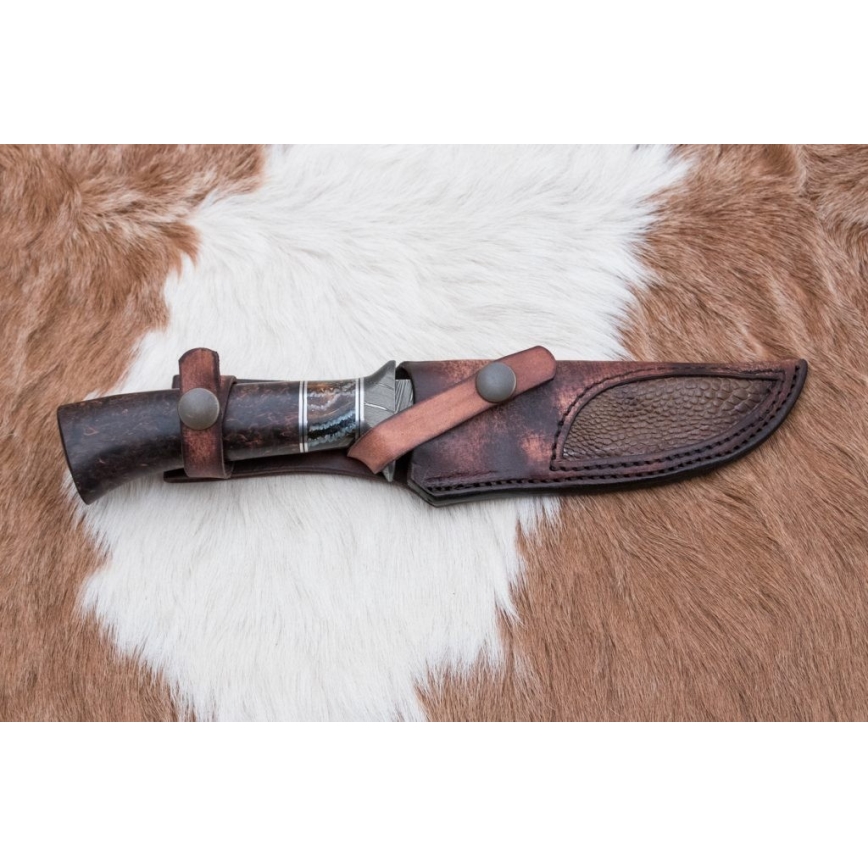 Exkluzív damaszkuszi kés 14,6 cm Nyírfa/mamutfog