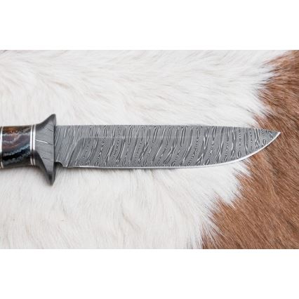 Exkluzív damaszkuszi kés 14,6 cm Nyírfa/mamutfog