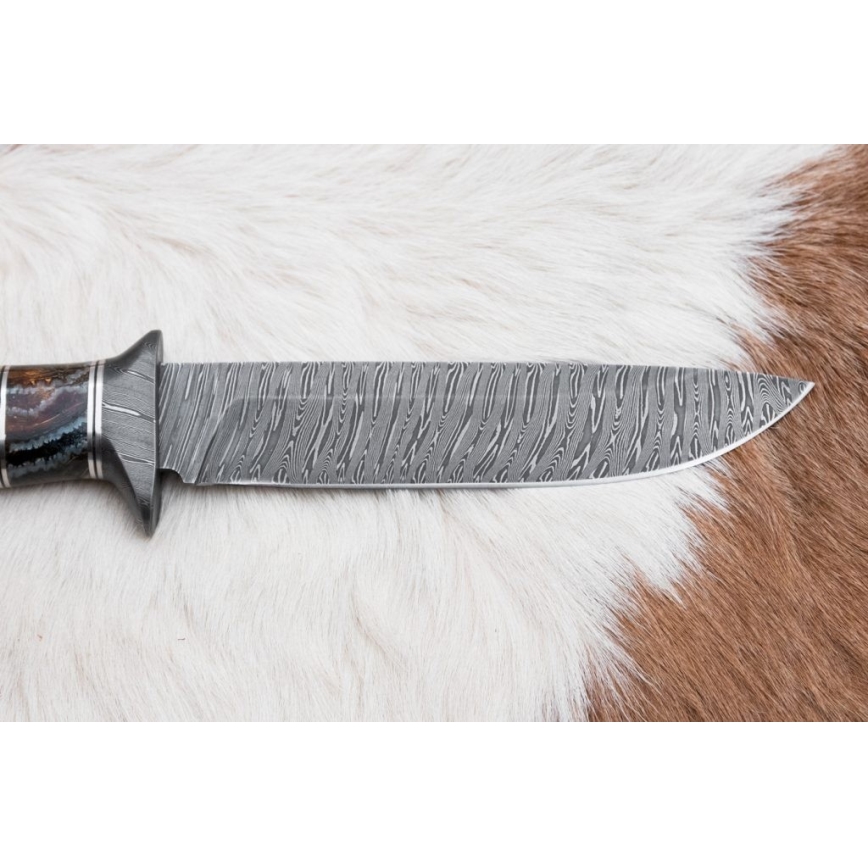 Exkluzív damaszkuszi kés 14,6 cm Nyírfa/mamutfog