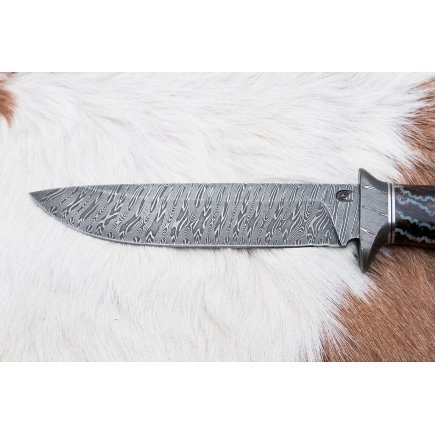 Exkluzív damaszkuszi kés 14,6 cm Nyírfa/mamutfog