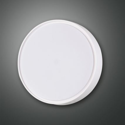 Fabas 3229/61/102 - Fürdőszobai mennyezeti lámpa HATTON 1xE27/42W/230V IP65