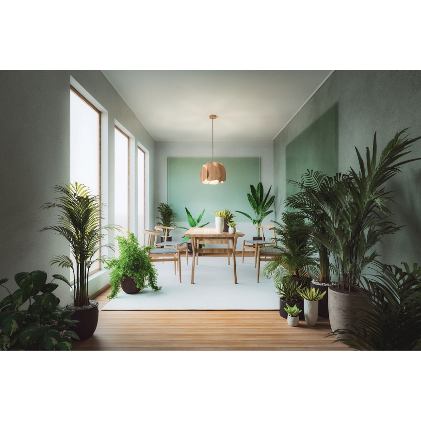 Fabas Luce 3672-40-132 - Csillár zsinóron PEVERO 1xE27/40W/230V fa