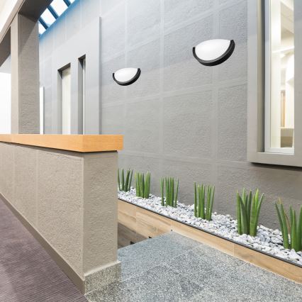 Fali lámpa ANELLO 1xE27/60W/230V wenge/tölgy