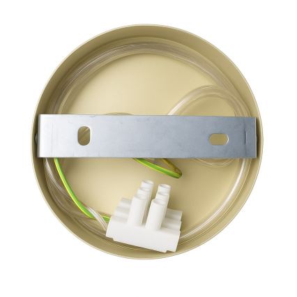 Fali lámpa CAPITAL 1xGX53/15W/230V arany