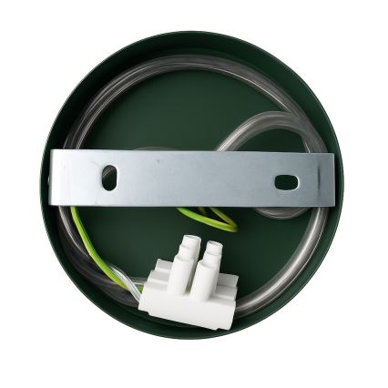 Fali lámpa CAPITAL 1xGX53/15W/230V zöld