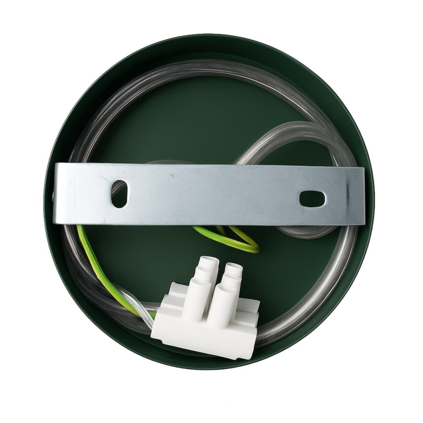 Fali lámpa CAPITAL 1xGX53/15W/230V zöld