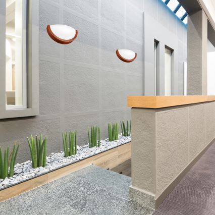 Fali lámpa NATURAL SLIM 1xE27/60W/230V fenyő/barna