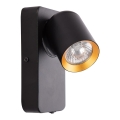 Fali spotlámpa ANDY 1xGU10/8W/230V fekete/arany
