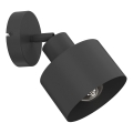 Fali spotlámpa PARKLA 1xE27/15W/230V fekete