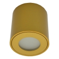 FARA kültéri spotlámpa 1xGU10/30W/230V IP54 aranyszínű