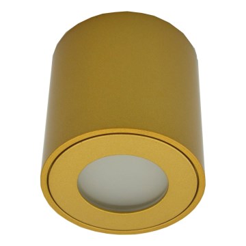 FARA kültéri spotlámpa 1xGU10/30W/230V IP54 aranyszínű
