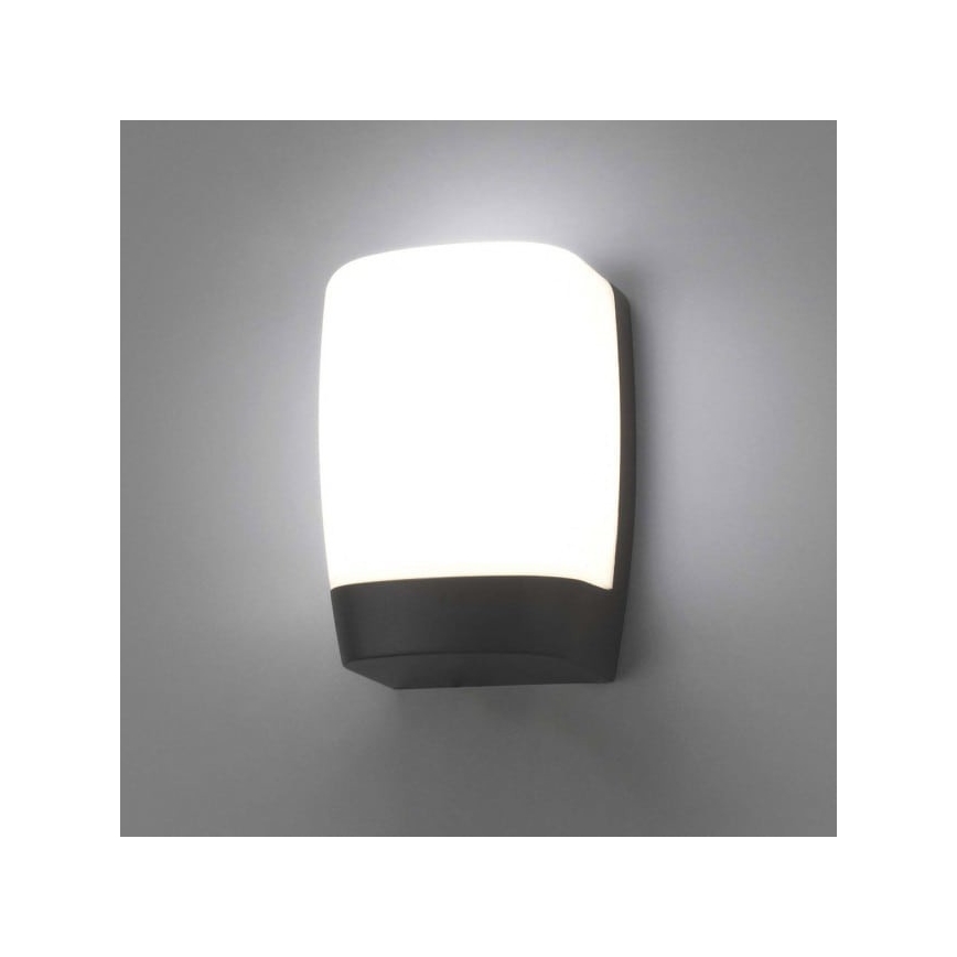 FARO 70829 - LED Kültéri fali lámpa POL LED/8W/230V IP54