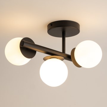 Felületre szerelhető csillár  AVOLA 3xG9/12W/230V fekete